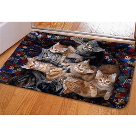 Les chatons sont dans un torchon et il sont tropsmignon c'est la photo qui est imprimer sur ce tapis d'entrée