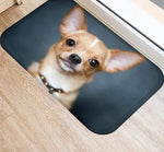 chihuahua avec grandes oreilles. un imprimer sur le tapis d'une porte d'entrée