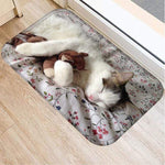Chat s'endort avec sont doudou photo sur tapis de une porte d'entrée