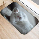 Motif chat se passe la patte sur la tété pour ça toilette  motif imprimer pour tapis porte d'entrée